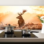 Majestic Deer - Panorama - Kitchen Splashback