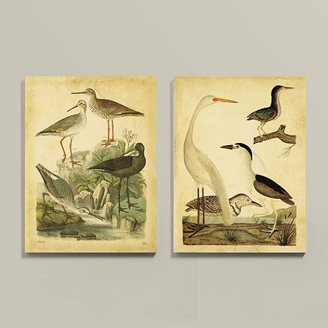 Shorebird Wall Art