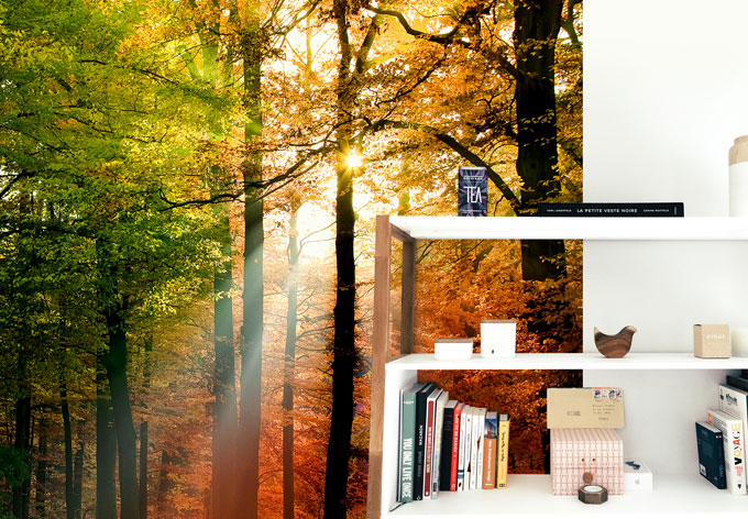 golden-autumn-photo-wallpaper