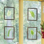 Natural Leaf Wall Art