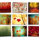 Autumn photography wall decor