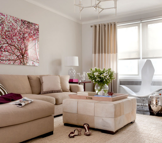 Neutral Living room wall decoration