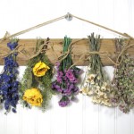 Dry Flower wall decoration
