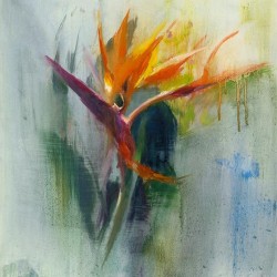 A closer look to nature with art work of 'Bird of Paradise'
