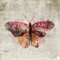 Polymorphic art